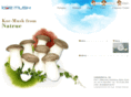 kormush.com