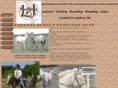 lnjperformancehorses.com