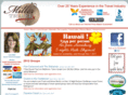 millertravelagency.com