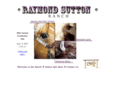 raymondsutton.net