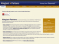 allegiant-partners.com