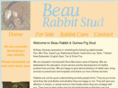 beaurabbitstud.com