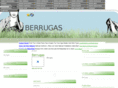 berrugas.es