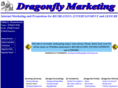 dragonfly-marketing.com