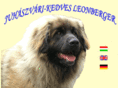 leonbergerkennel.hu