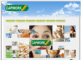 capwork.com