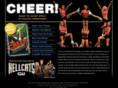 cheerthebook.com