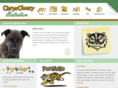 chryscleary.com