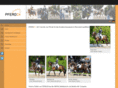 german-horses.com
