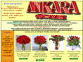 ankaracicekpazari.com