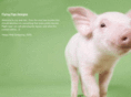 flyingpigsdesign.net