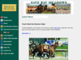 savebaymeadows.org