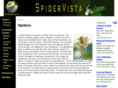 spidervista.com