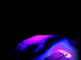 thomaswoods.com