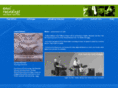 envoirecords.com