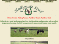 hollyvalestud.com