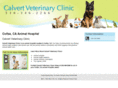 laservetclinic.com