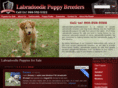 labradoodlepuppybreeders.com