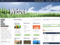 lifewidget.com