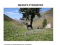 massifs-pyreneens.com