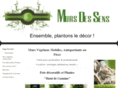 mursdessens.com