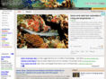 bestsubsea.com