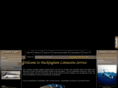 chicagobuckinghamlimo.com