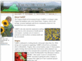 cleanva.org