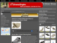 goldsilvershoes.com