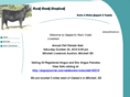 rockcreeklivestock.com