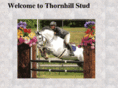 thornhillstud.com