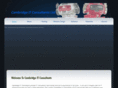 camitconsult.com