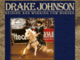 drakejohnson.com