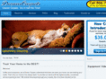 mydreamcarpets.com