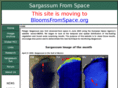 sargassumfromspace.org