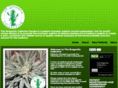 thedragonflycollective.com