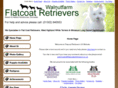 flatcoatretrievers.co.uk