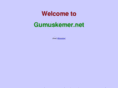 gumuskemer.net