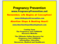 pregnancyprevention.net