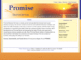 promiseelectric.com