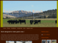 twinpineangus.com