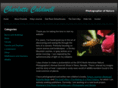 charlottecaldwell.com