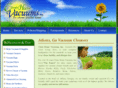 cleanhomevacuums.com