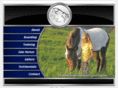 silversunsetfarms.com