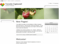 torontocaptured.com