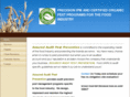 assuredaudit.com