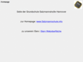gssalzmann.de