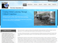 shumskyassociates.com