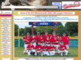 southboroughbaseball.net