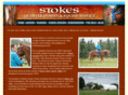 stokesquarterhorses.com